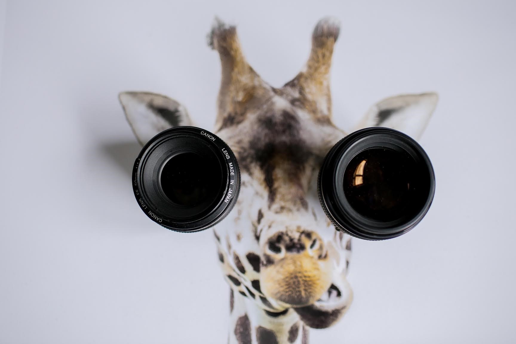 Finding the Right Contact Lens Fit